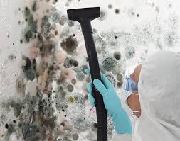 Biohazard Mold Removal in Immokalee, FL